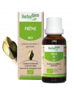 Frêne (Fraxinus excelsior) bourgeon BIO, 15 ml